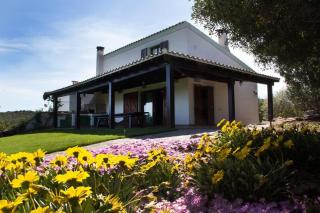 Villa Olga - 0