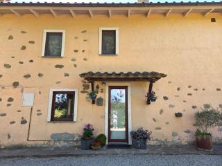 Tra gli ulivi e il panorama - 5