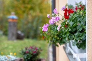 Teichmühle - Vogtland Chalet - 8