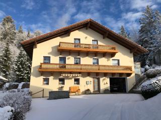 Haus Peschl Fewo 1 - Neureichenau - 9