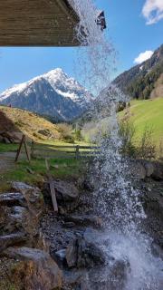 Stackler54 - mit Garten - 7