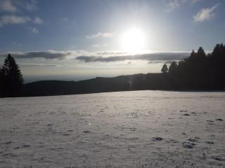 Ferienwohnung Manuela - Sankt Englmar - 9
