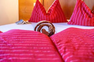 Lechnerhof Apt 4 - Braies - 5