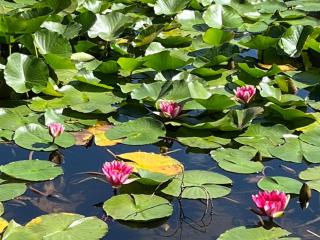 Maison De Jeannette En Pierre - 4