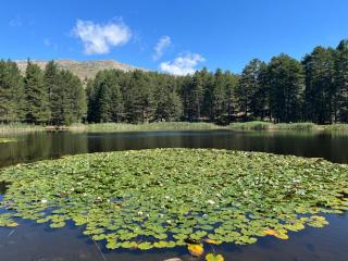 Maison De Jeannette En Pierre - 3