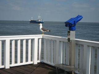 Haus Sonnensegler - Ferienwohnung - 2