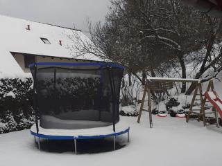 Mayntz' Albjuwel - 3