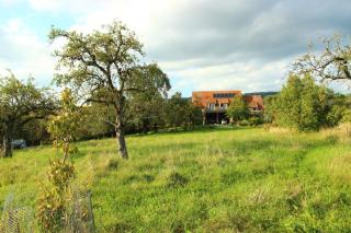 Hof Sinnenberg - Deggenhausertal - 1