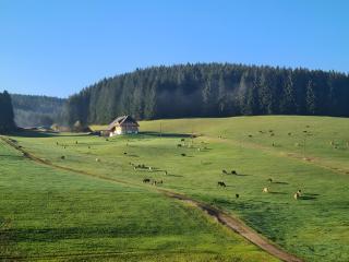 Ferienhaus Wendelhof - 2