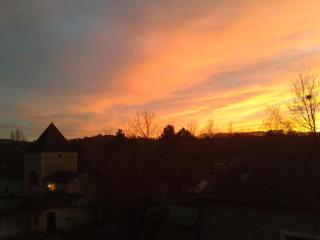 Le Clos de la Salamandre - 1