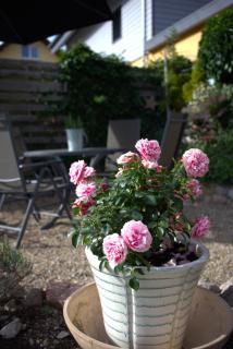 Ferienwohnung am Brunnen - 2