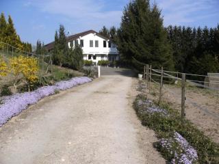 Fewo Eg Links - Hunde erlaubt - 7