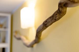 Il giardino di Belgirate - 3