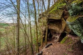 Ferienwohnung Inge - 3