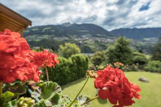 Tischlerhof - Typ A mit Terrasse - 1