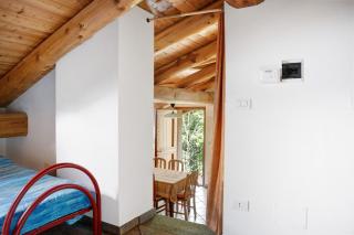 Anemone Tano di Grich - 7