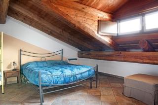 Anemone Tano di Grich - 0