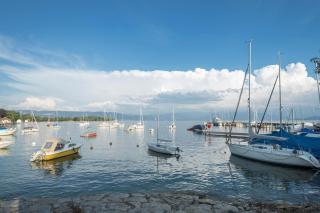 Seenaah auf der Insel Lindau Nr 8 - 5
