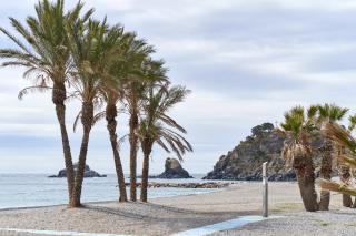 Apartment 250 M from the beach - 1