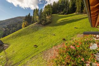 Oberhof Apt Lärchenwald - 8