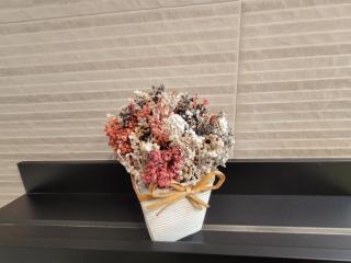 Apartamento Ejido Centro - El Ejido - 8