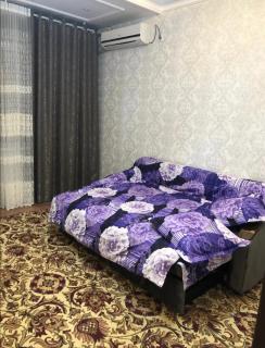 Somoni central apartment - 2