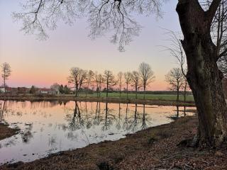 Ferienhaus Waldblick - 8