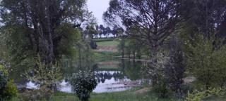 La casa sul lago - 3