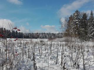Ferienwohnung Bienenherz - 6