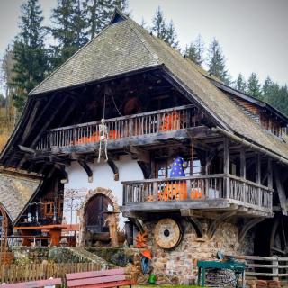 Ferienwohnung Waldkäuzle27 - 5