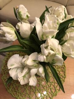 Ferienwohnung Beyer Friedrichroda - 1