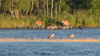 Ferienwohnung Maribell Jabel - 4