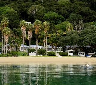 The Beach House Kawau - 6