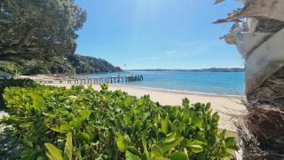 The Beach House Kawau - 2