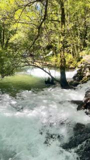 Casas do Natureza de Coura - 1