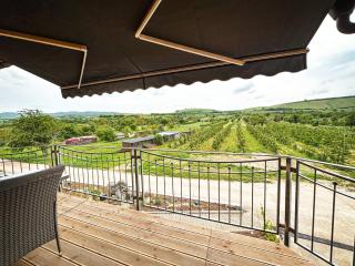 Ferienhof Schlössle - 1