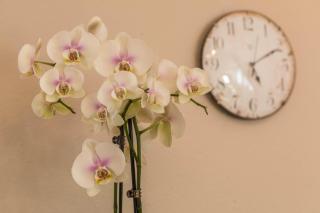 Ferienwohnung Schürer - 6