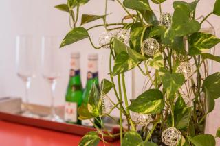 Ferienwohnung Schürer - 4