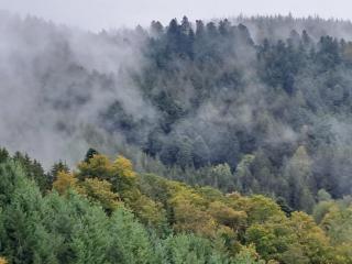 Ferienwohnung Leibgeding - 1
