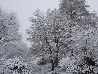 Ferien Fachwerkhaus - 7