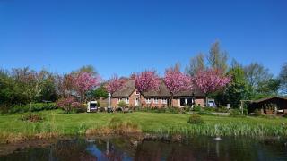 Ferienwohnung Sannes - Welt - 9