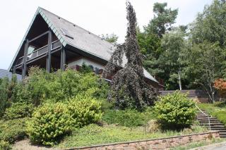 Haus Talblick Sasbachwalden - 9