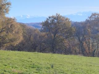 Le Gite Ozalée - Domaine Helaku - Monein - 4