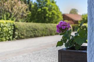 Ferienwohnung Heinrich - 5