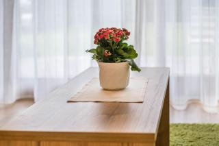 Haus zur Vogelweide App 1 - 2