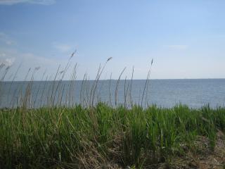 Haus Halligblick - 9