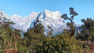 Tungnath View Homestay - 4