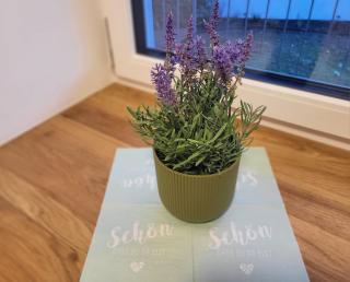 Dreimäderlhof Ferienhaus - 7