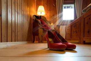 Chalet Kasern - Gais - 1