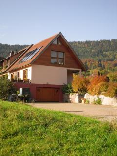 Gîtes du Taennchel - Thannenkirch - 8